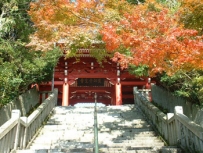 先山 千光寺、岩戸神社 画像