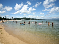 大浜海水浴場 画像