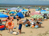 多賀の浜海水浴場 画像