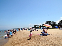 慶野松原海水浴場 画像