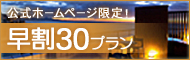 ホームページ限定早割り30プラン