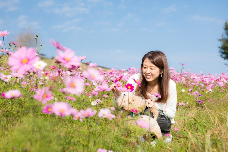 【あわじ花さじき】広大な敷地に四季折々の花々が咲き乱れる