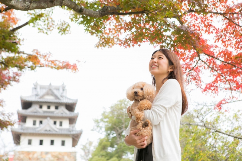 【洲本城】春には桜、秋には紅葉の名所に