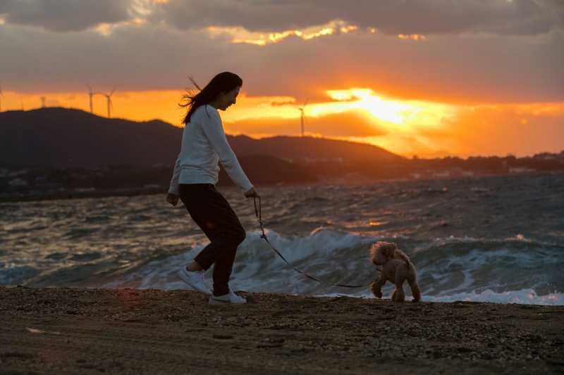 【慶野松原】日本の夕陽百選にも選定される美しい夕陽