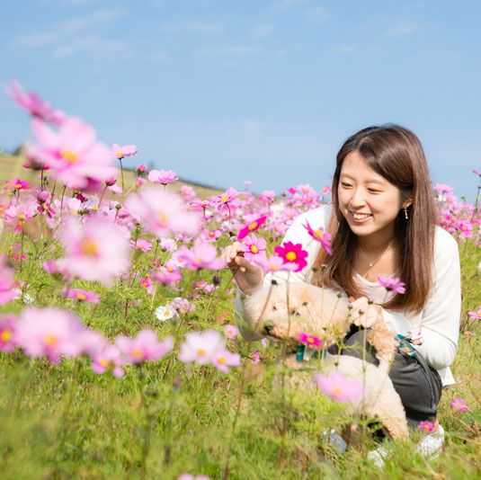 あわじ花さじき