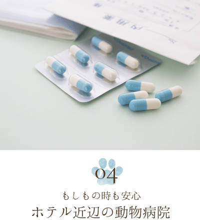 もしもの時も安心 ホテル近辺の動物病院
