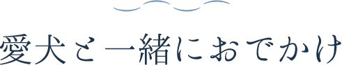 愛犬と一緒におでかけ