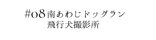 南あわじドッグラン飛行犬撮影所