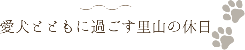 愛犬とともに過ごす里山の休日