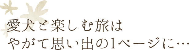 愛犬と楽しむ旅はやがて思い出の1ページに…