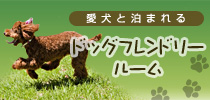 ޤ ɥåեɥ꡼롼