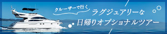 クルーザーで行くラグジュアリーな日帰りオプショナルツアー